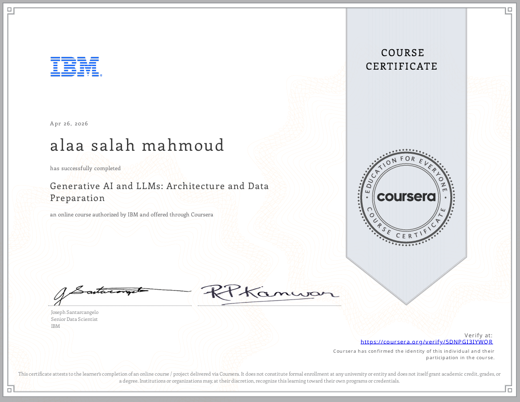 Alaa Salah — Junior Data Analyst