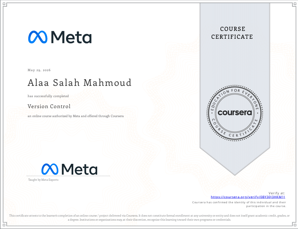 Alaa Salah — Junior Data Analyst